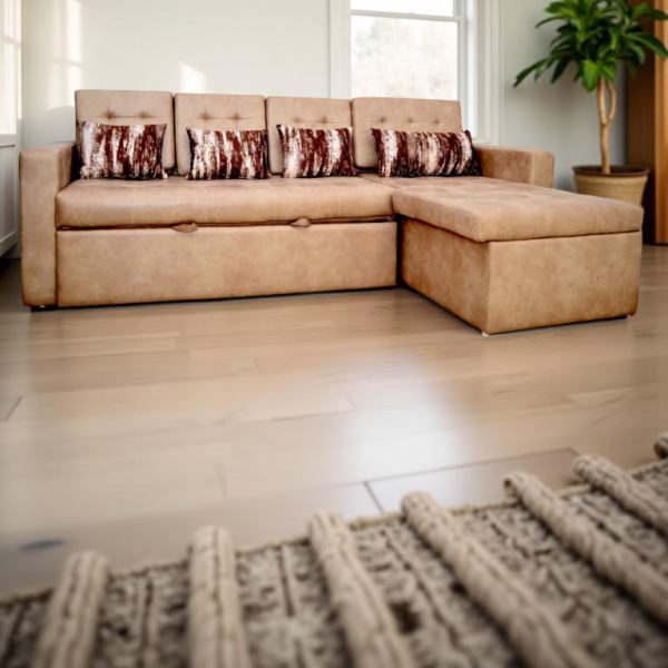 FIESTA Sofa cum Bed