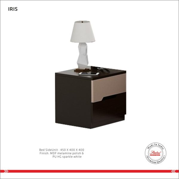IRIST450400
